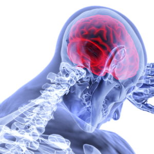 brain-3168269_640
