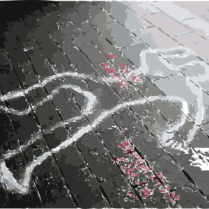 crime-scene-30112_960_720-1