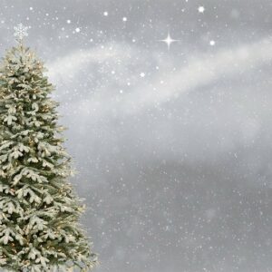 christmas-tree-3006743_960_720