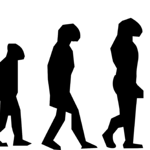 evolution-297234_1280
