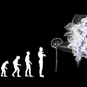 evolution-3885331_1920