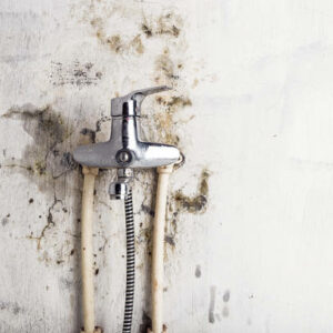 Old water tap and fungal mold on a light wall