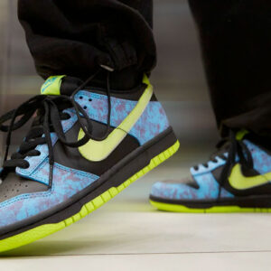 nike-dunk1
